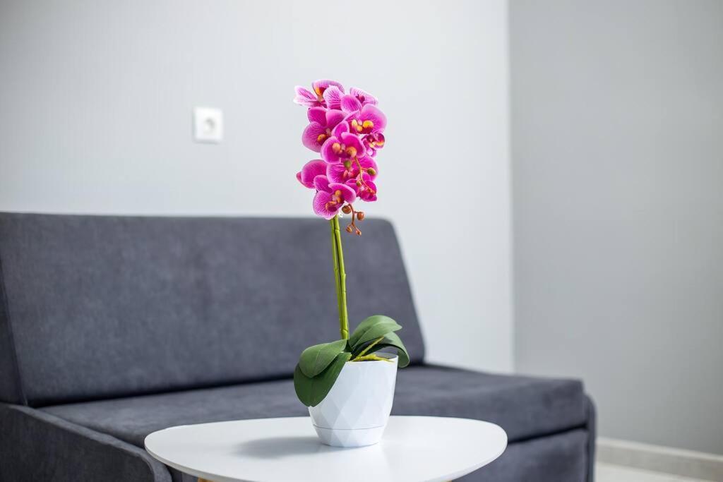 Pelagias Apartments Rhodes City Luaran gambar